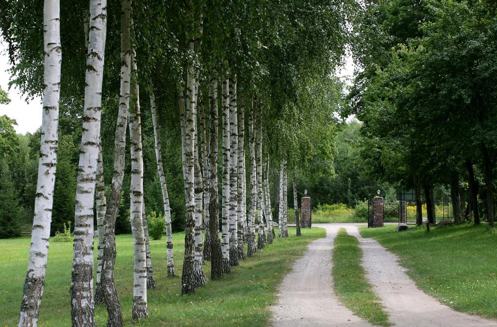 Villa Mamry Węgorzewo Eksteriør billede